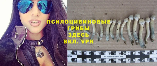 ПСИЛОЦИБИНОВЫЕ ГРИБЫ Всеволожск