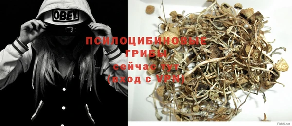 ешки Новодвинск