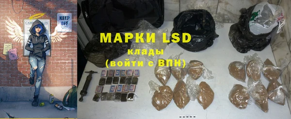 ешки Новодвинск