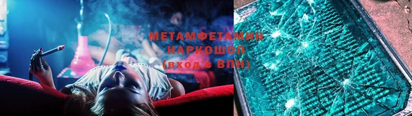 прущие грибы Няндома