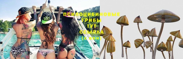 прущий лед Нея