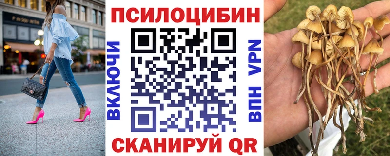 Псилоцибиновые грибы Magic Shrooms  Слюдянка 